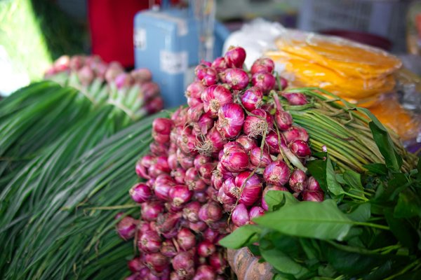 Revue détaillée : Bouilloire électrique vs. Bouilloire sur une cuisinière