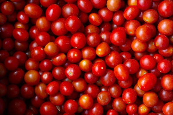 Top 5 kamado barbecues: comment choisir le bon modèle pour vous